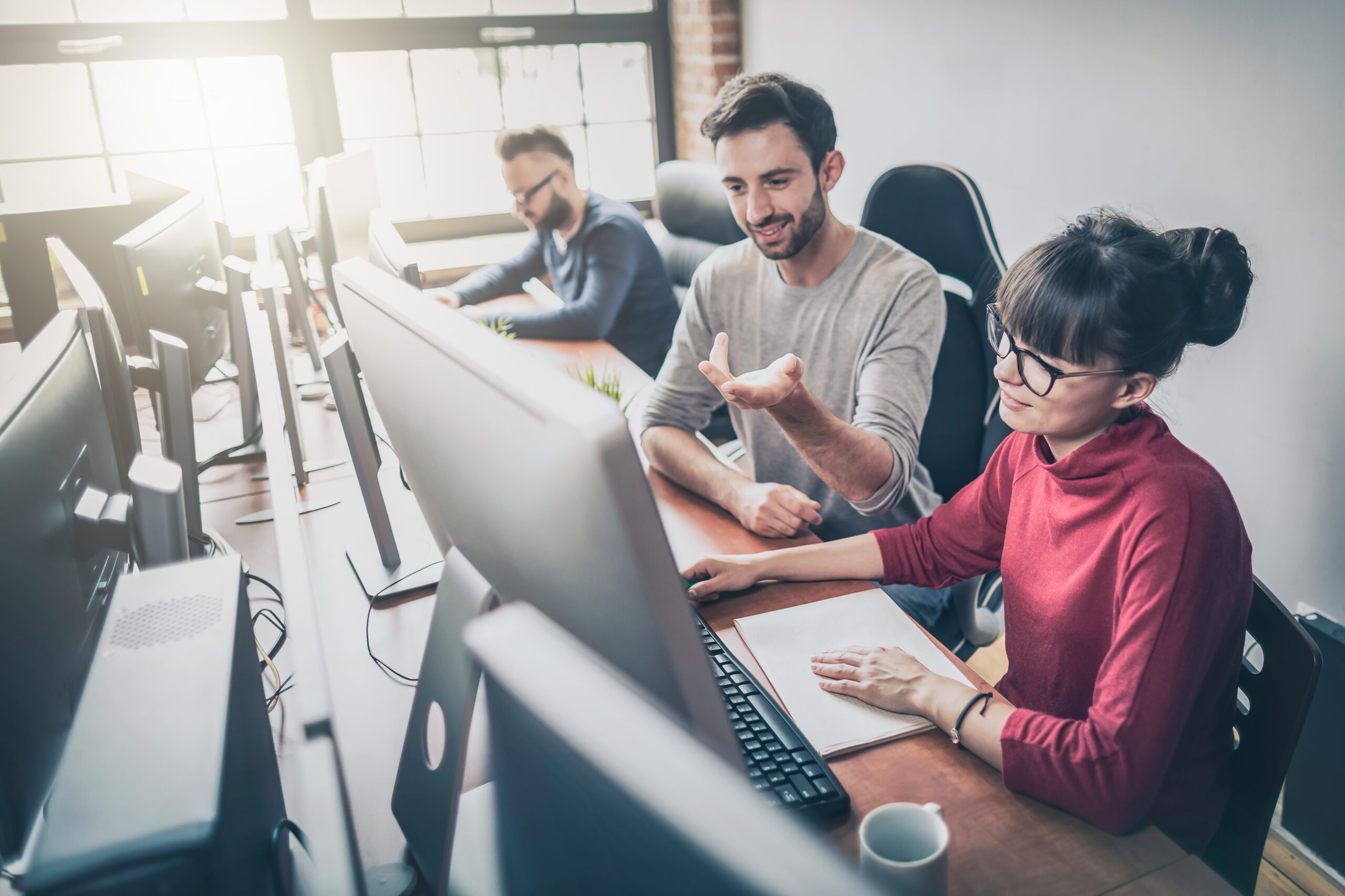 IT Professional Working Or Developing New Project